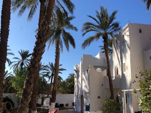 Algeria Tours16-阿尔及尔必去景点