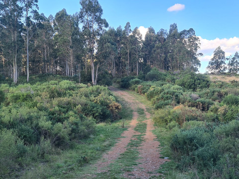 Cerro Mistico Hotel y Ecoparque主图
