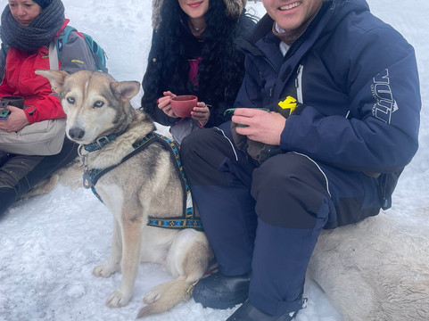 Taigausko Husky Experience-伊纳里必去景点