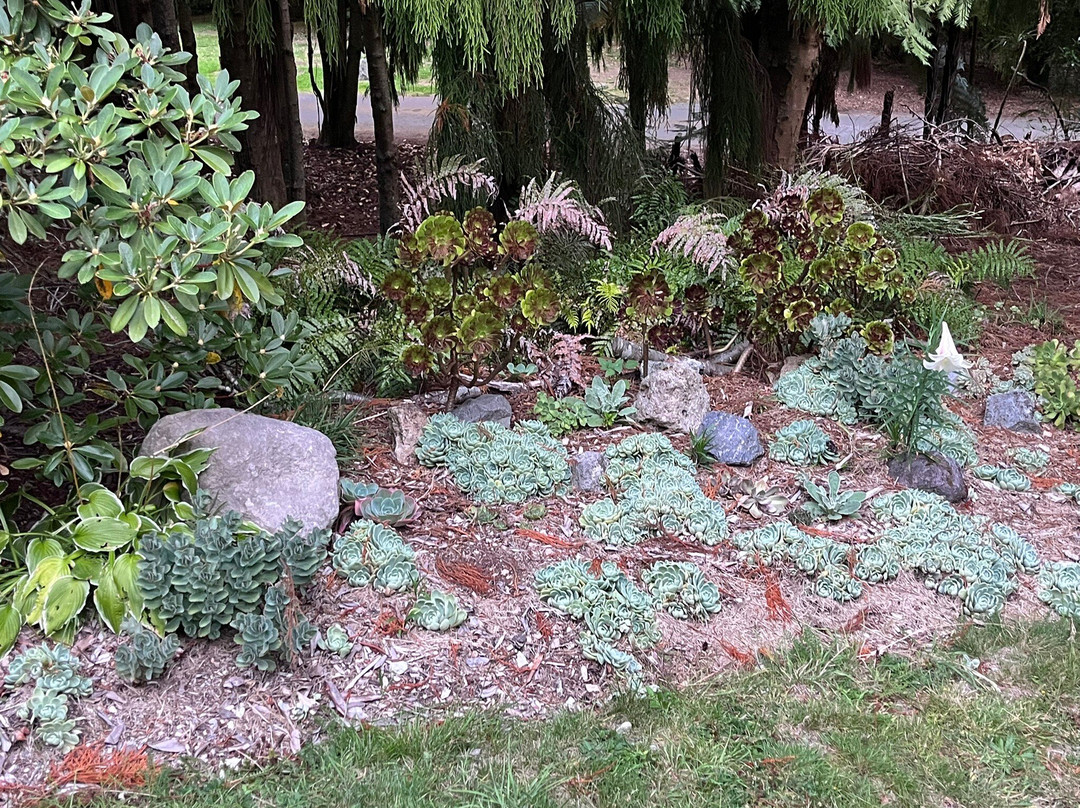 Waipahihi Botanical Gardens-陶波必去景点