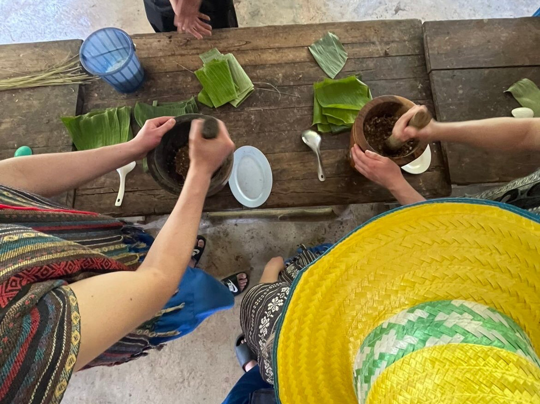 Doi Lom Elephant Rescue Sanctuary-夜登必去景点