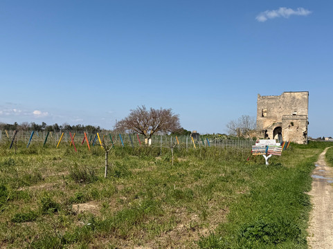 Feudi Di Guagnano-Guagnano必去景点