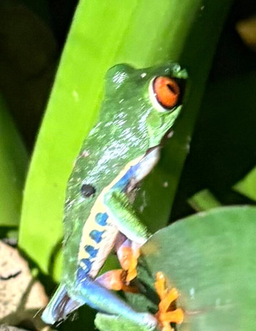 圣拉菲尔生态酒店主图