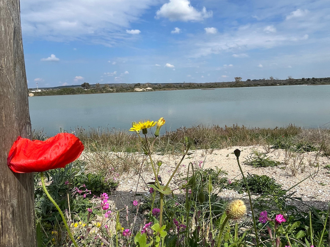 Spiaggia Salina dei Monaci-Manduria必去景点