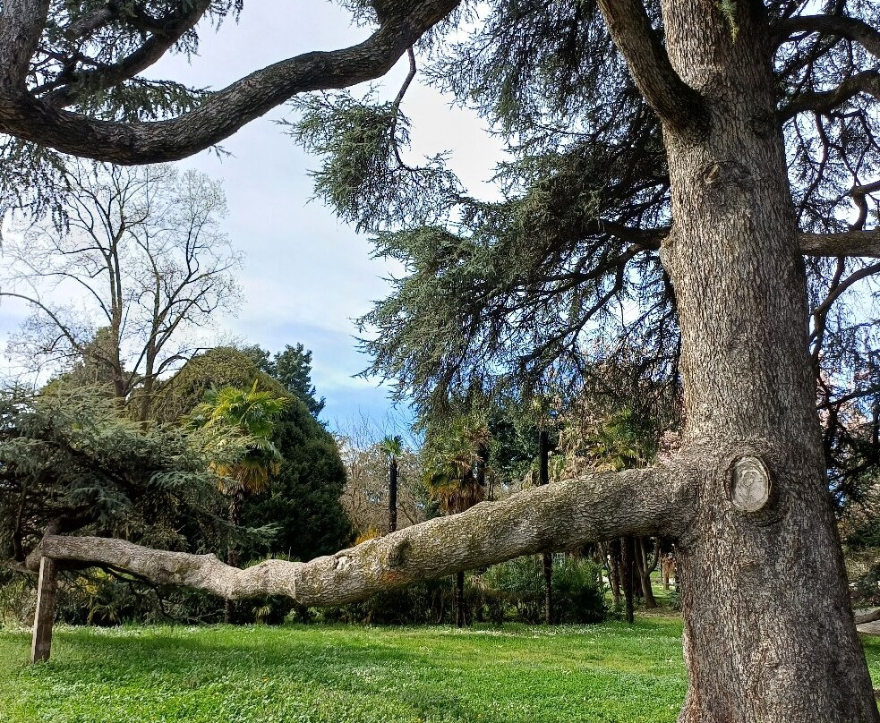 Parco Scalabrini-切尔梅纳泰必去景点