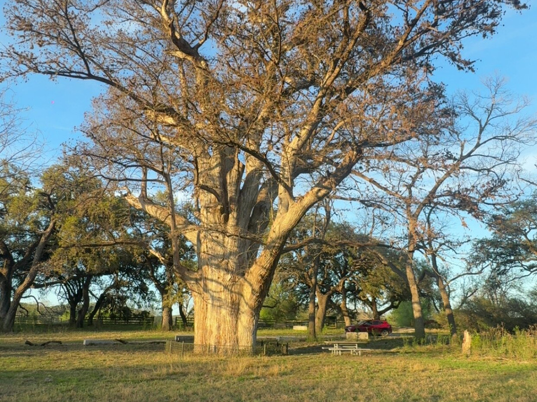 Frio River Private Access-Concan必去景点