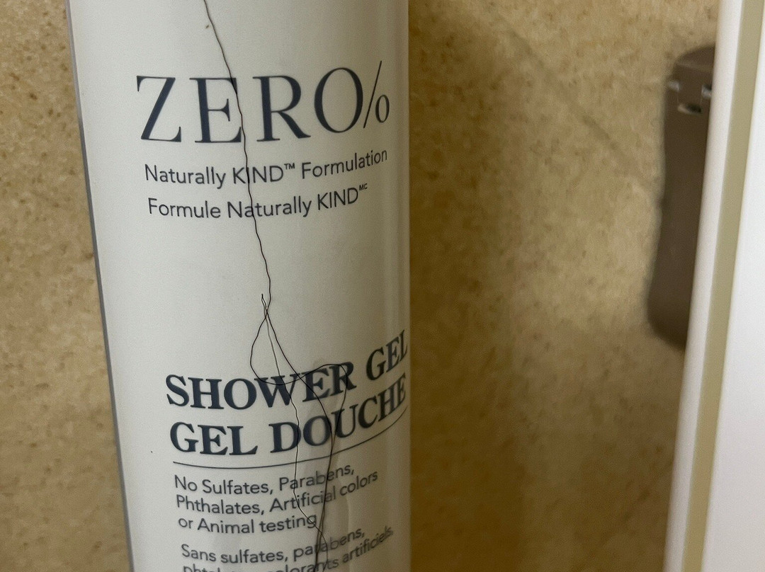 希尔顿欢朋套房酒店-韦尔斯湖主图