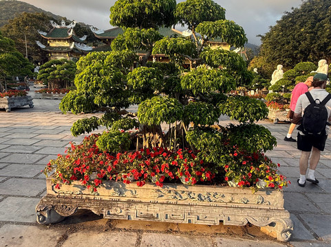 Simply Vietnam Travel-会安必去景点