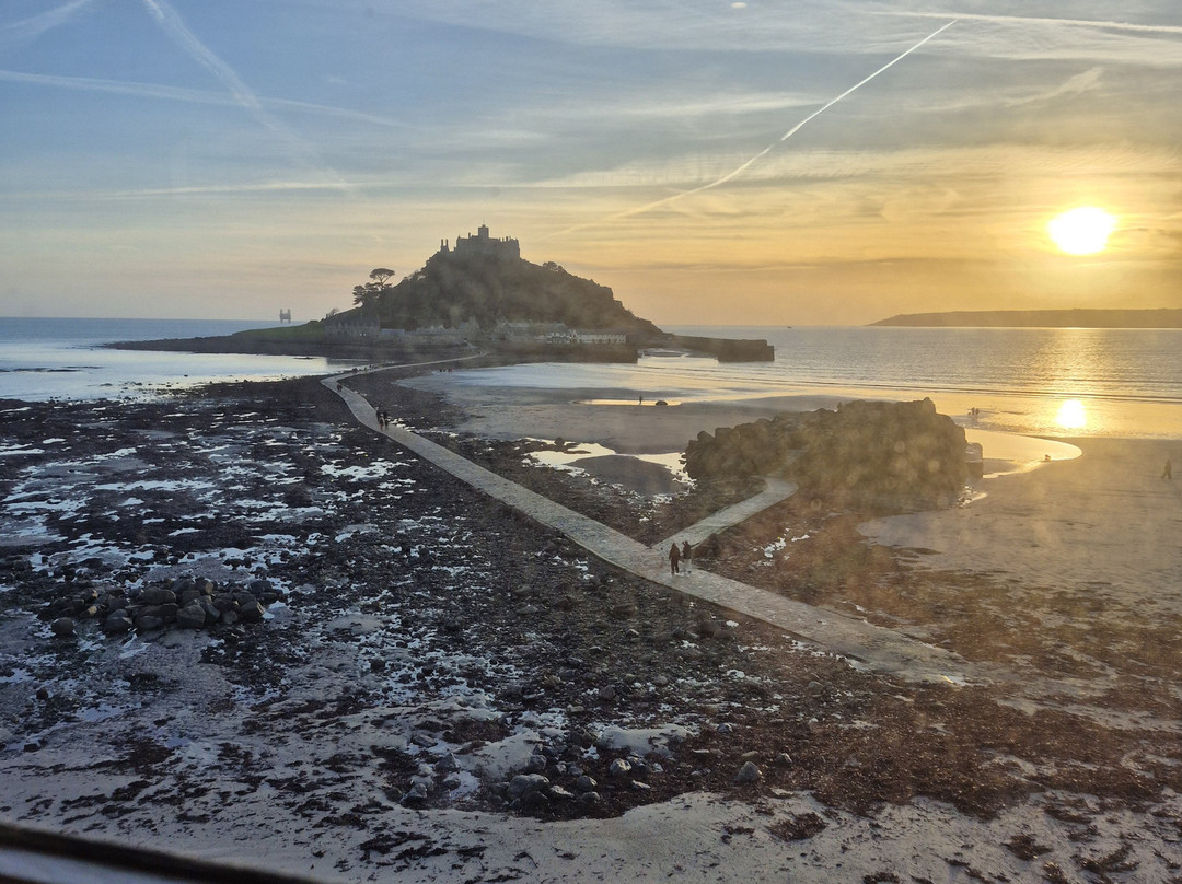 黄金海豚酒店主图