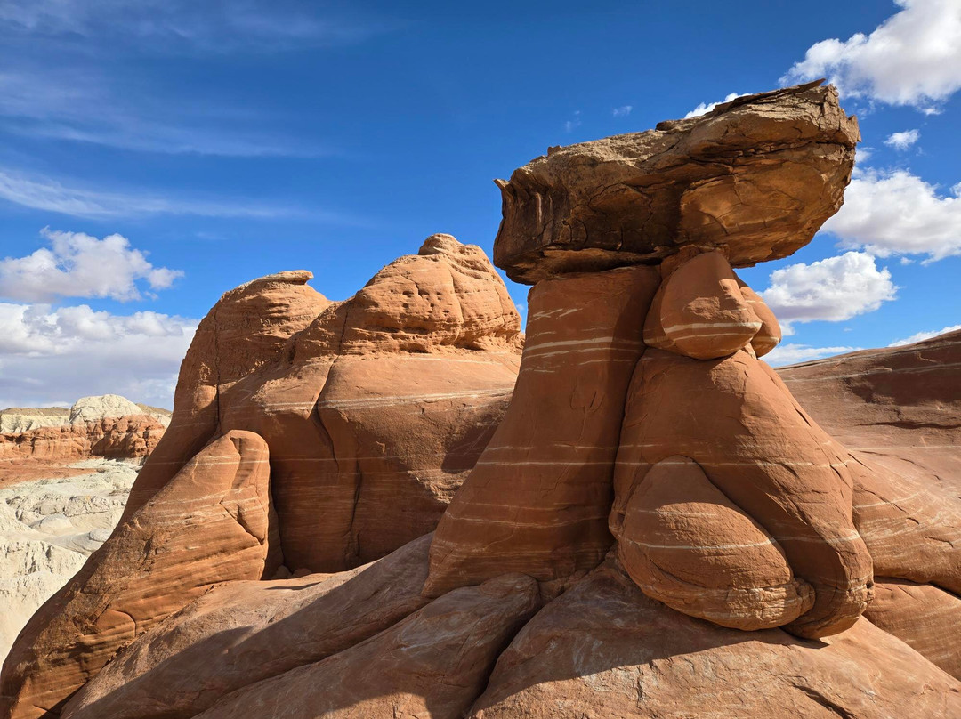 The Toadstools-比格沃特必去景点