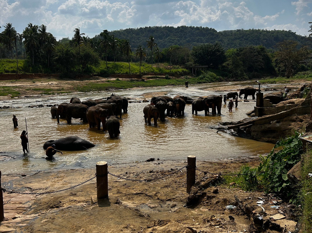 Tours For Sri Lanka-科伦坡必去景点