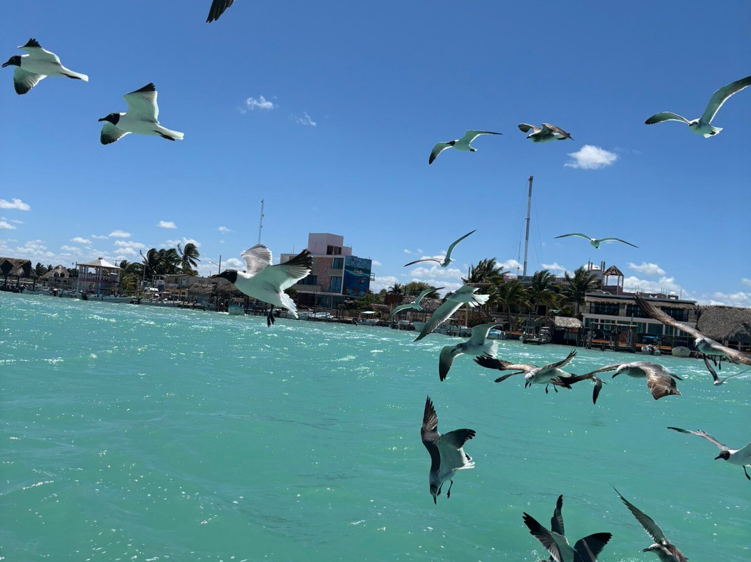 Taxi Personalizado-巴利亚多利德必去景点