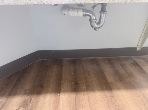 威廉斯堡大狼屋酒店主图