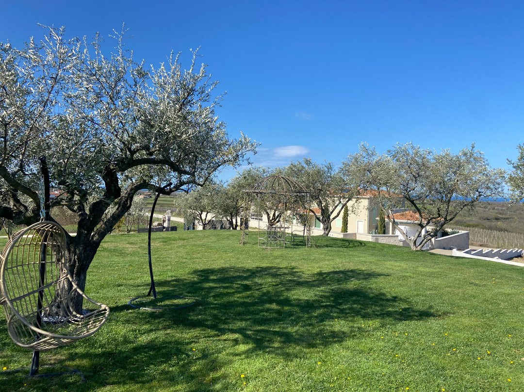 查图纳酒庄住宅酒店主图