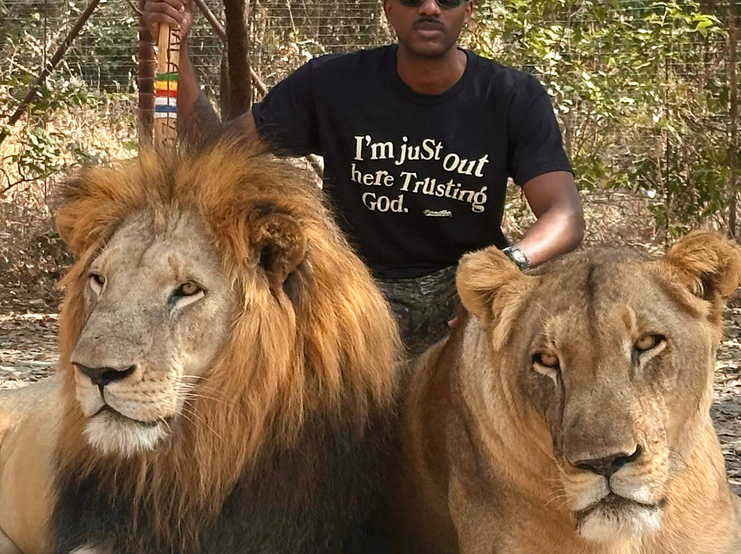 Senegal for Travellers-达喀尔必去景点