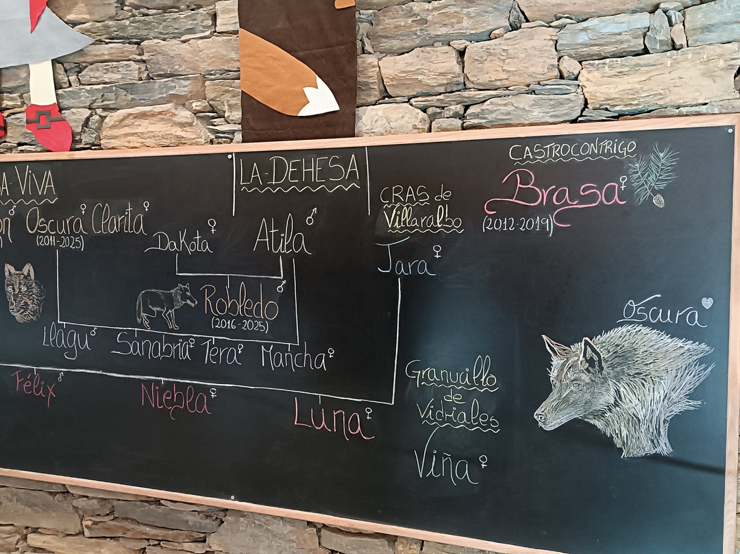 Centro del Lobo Iberico-Puebla de Sanabria必去景点