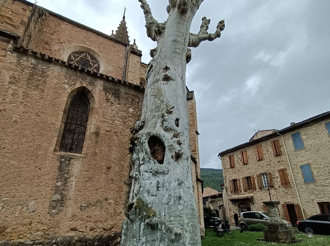 Vieille Ville Alet-les-Bains-Alet les Bains必去景点