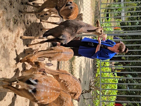 猴岛-芽庄必去景点