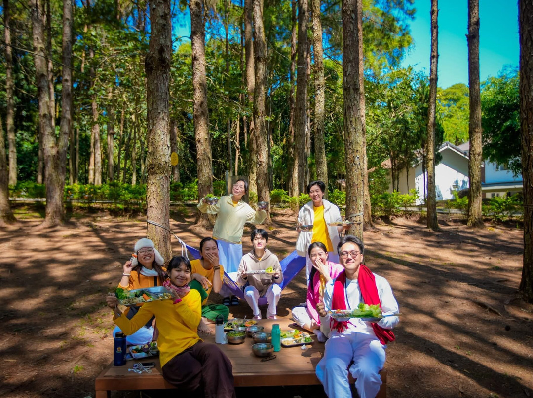 Sivananda Yoga Resort And Training Center-大勒必去景点