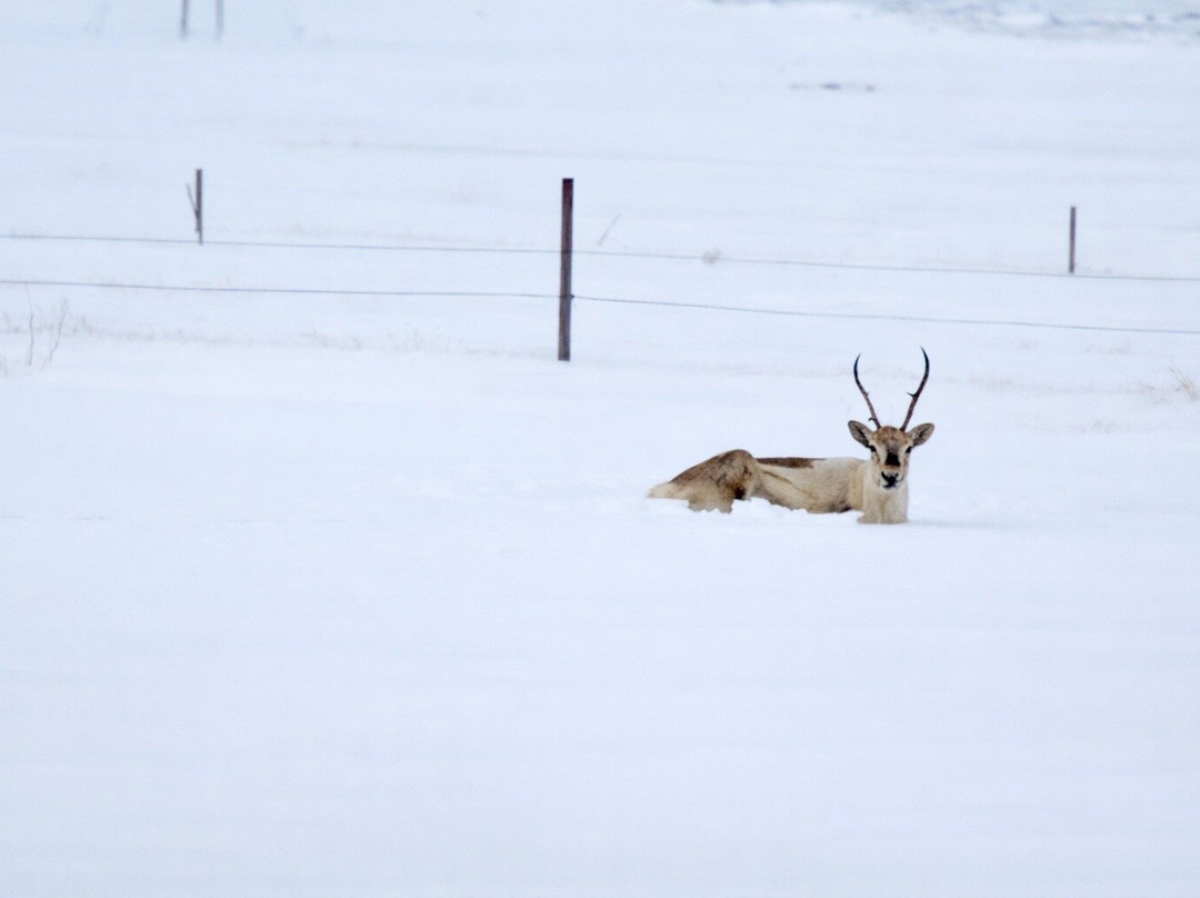 Deluxe Iceland-凯夫拉维克必去景点