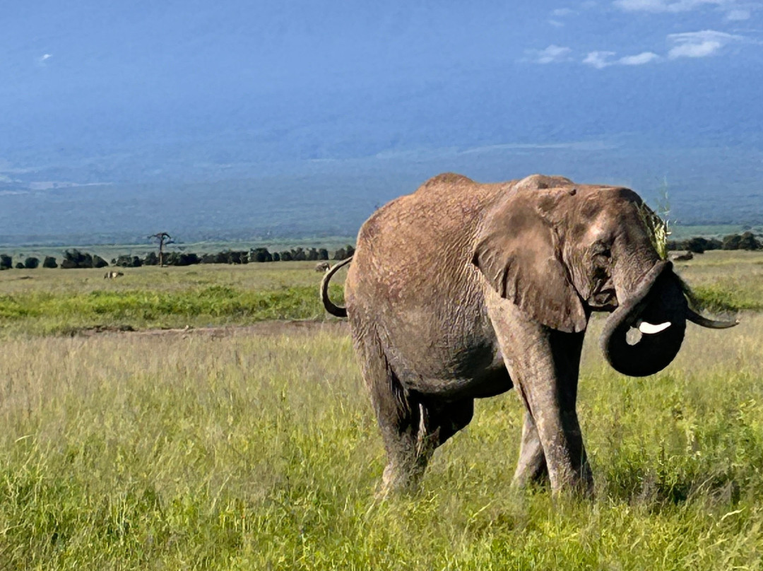 Focus East Africa Tours Ltd-坎帕拉必去景点