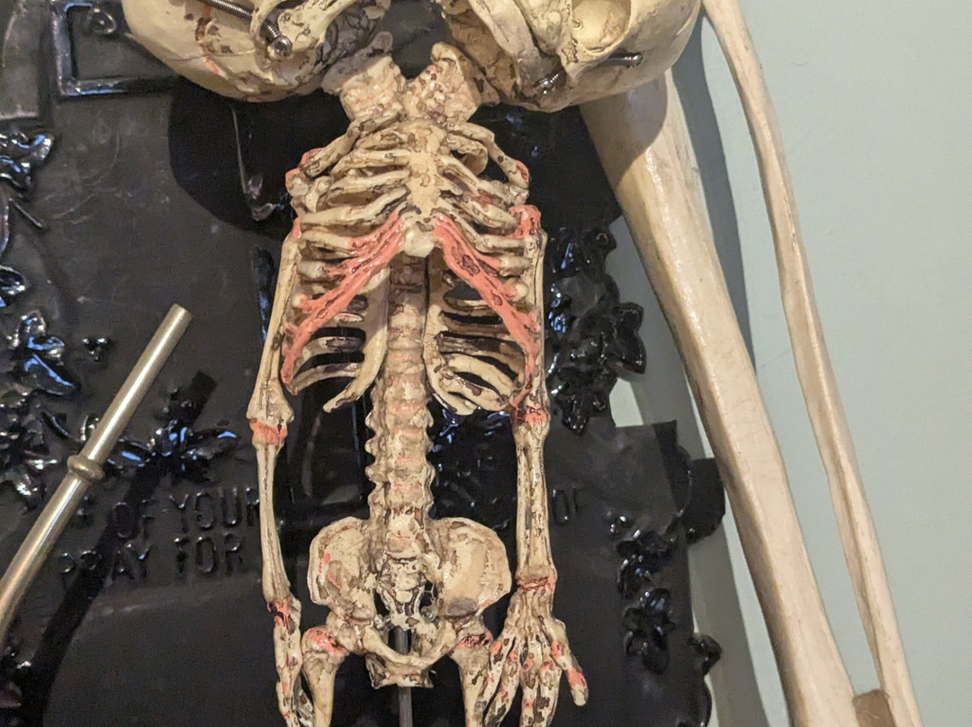 Morbitorium-卡菲利必去景点