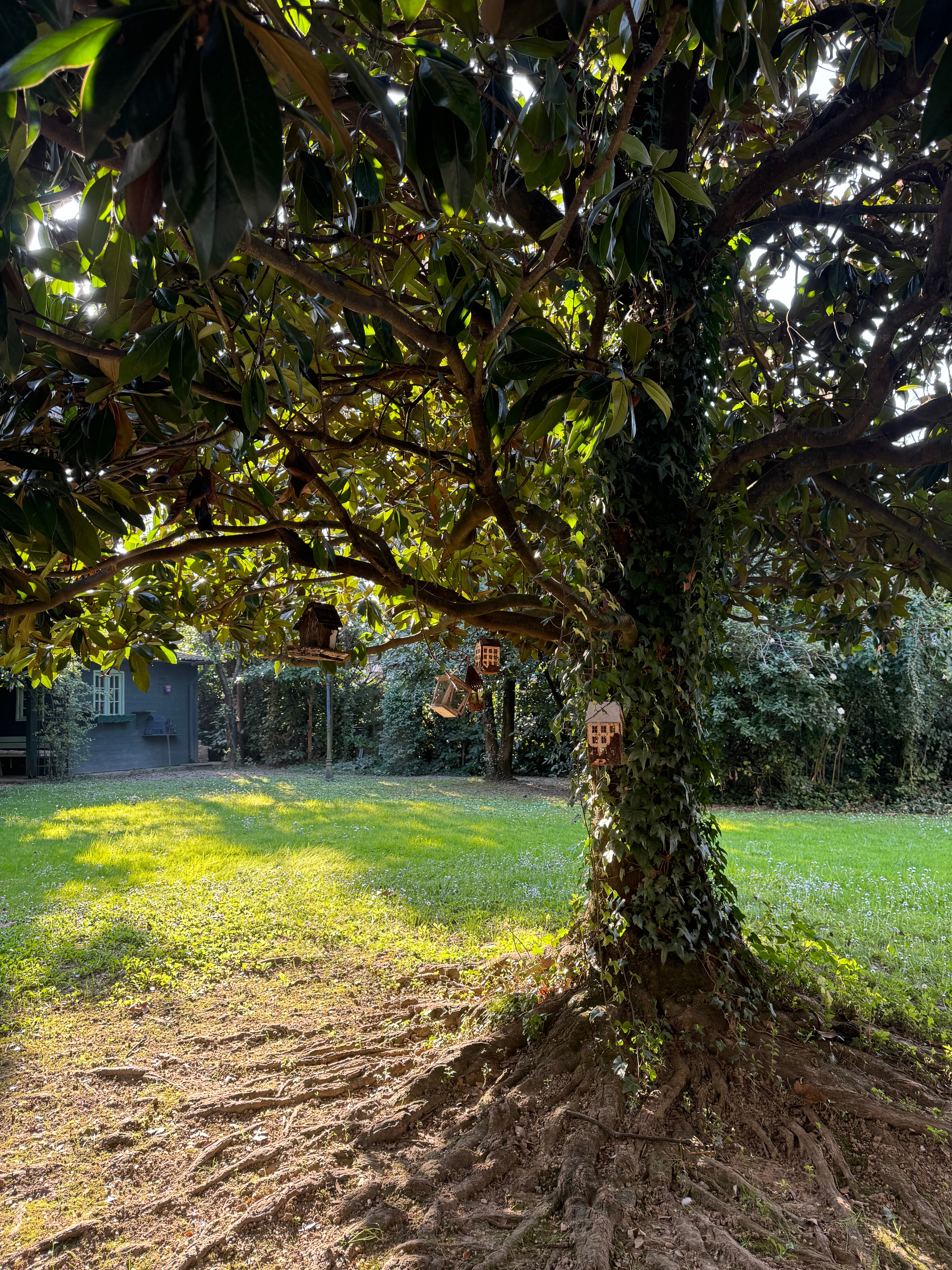 卡萨卡米拉早餐旅馆-官方