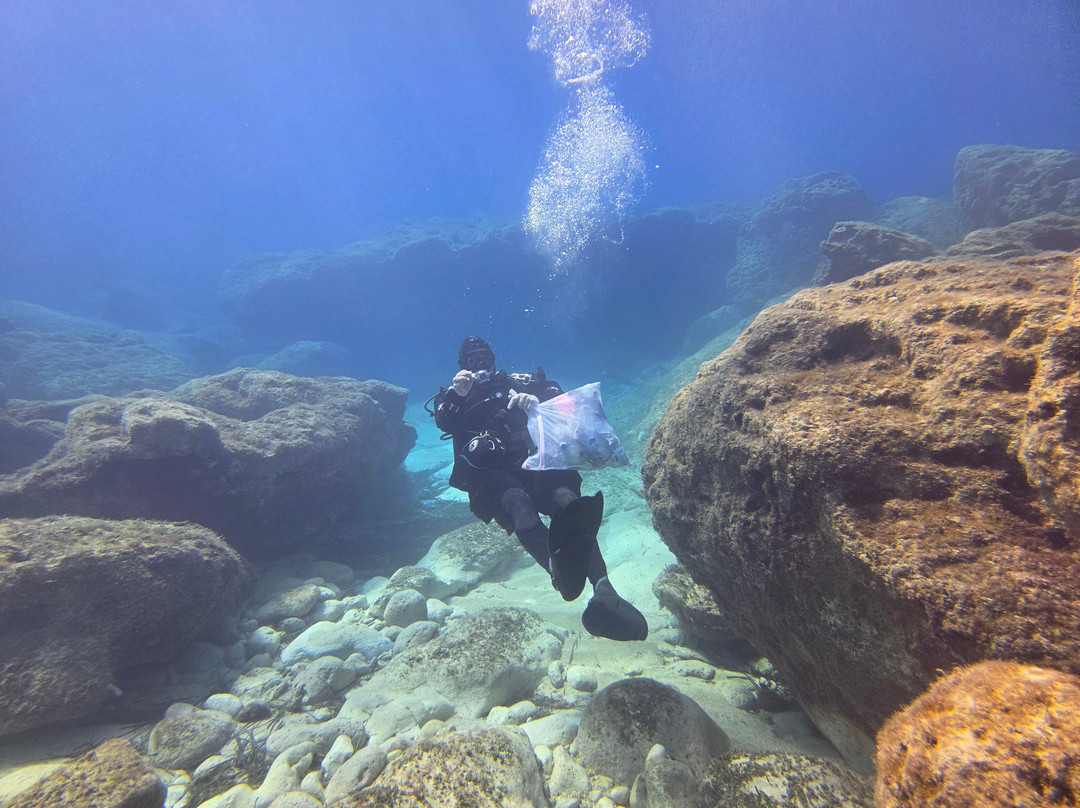 Coral Bay Divers-帕福斯必去景点