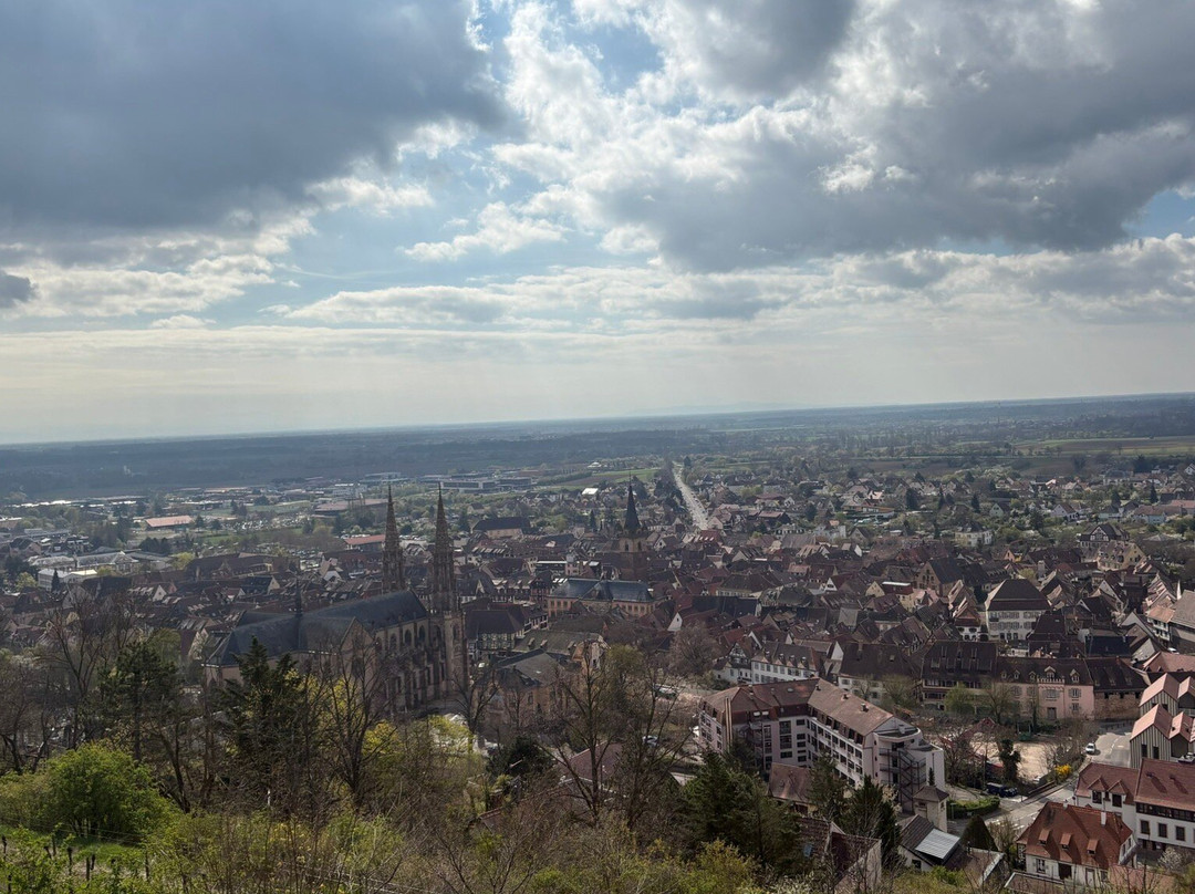 Parcours Historique d'Obernai-奥贝奈必去景点