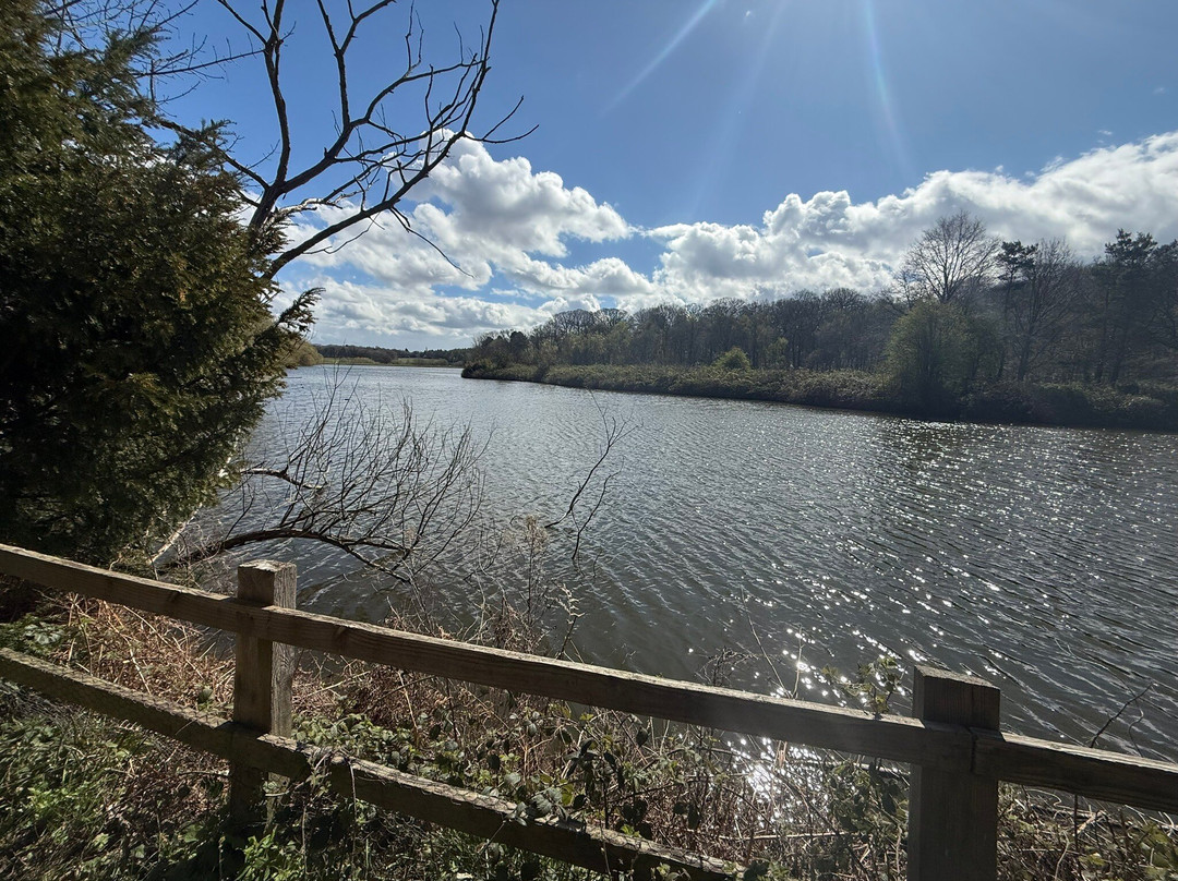 Clumber Park-沃克索普必去景点