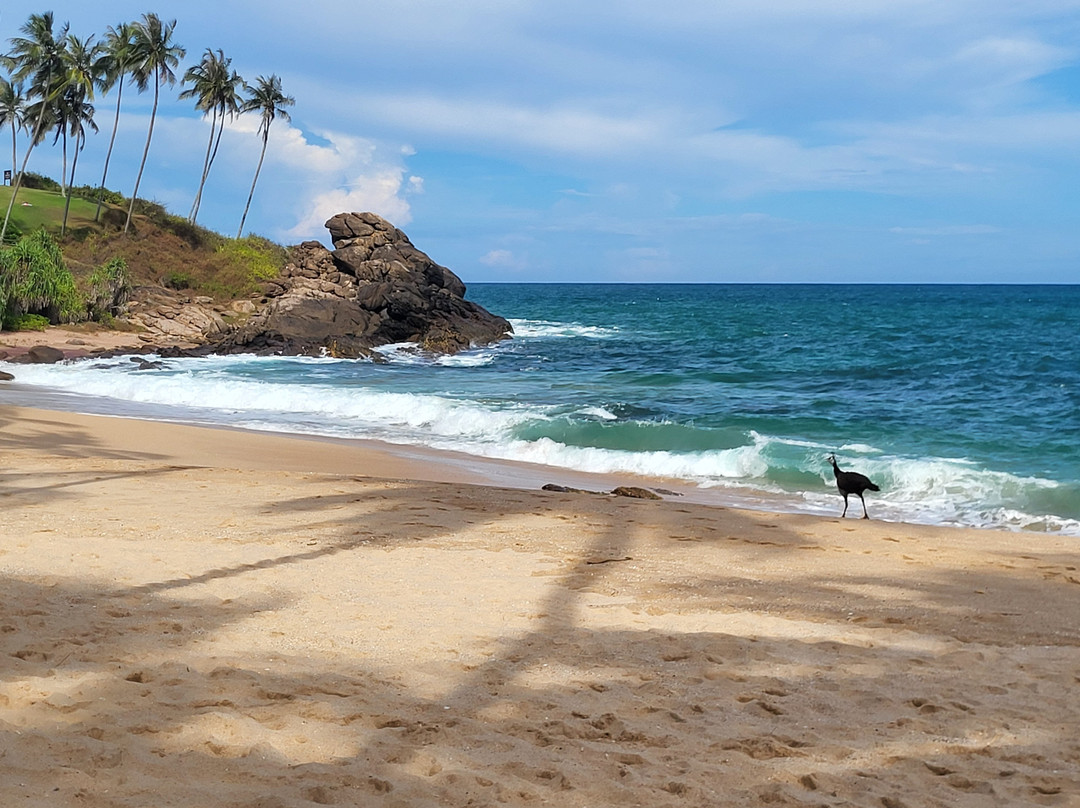 Prem Tours Sri Lanka-尼甘布必去景点