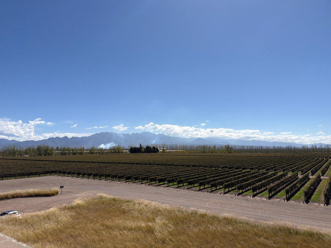 Bodega Septima-路冉得库约必去景点