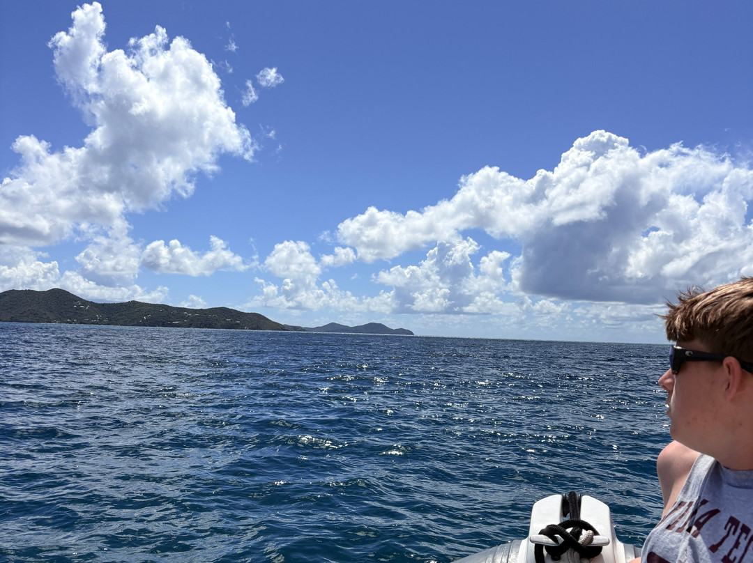 Dockside Dinghy-Coral Bay必去景点