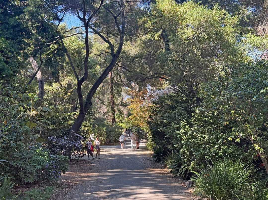 Descanso Gardens-拉肯纳达石岭必去景点