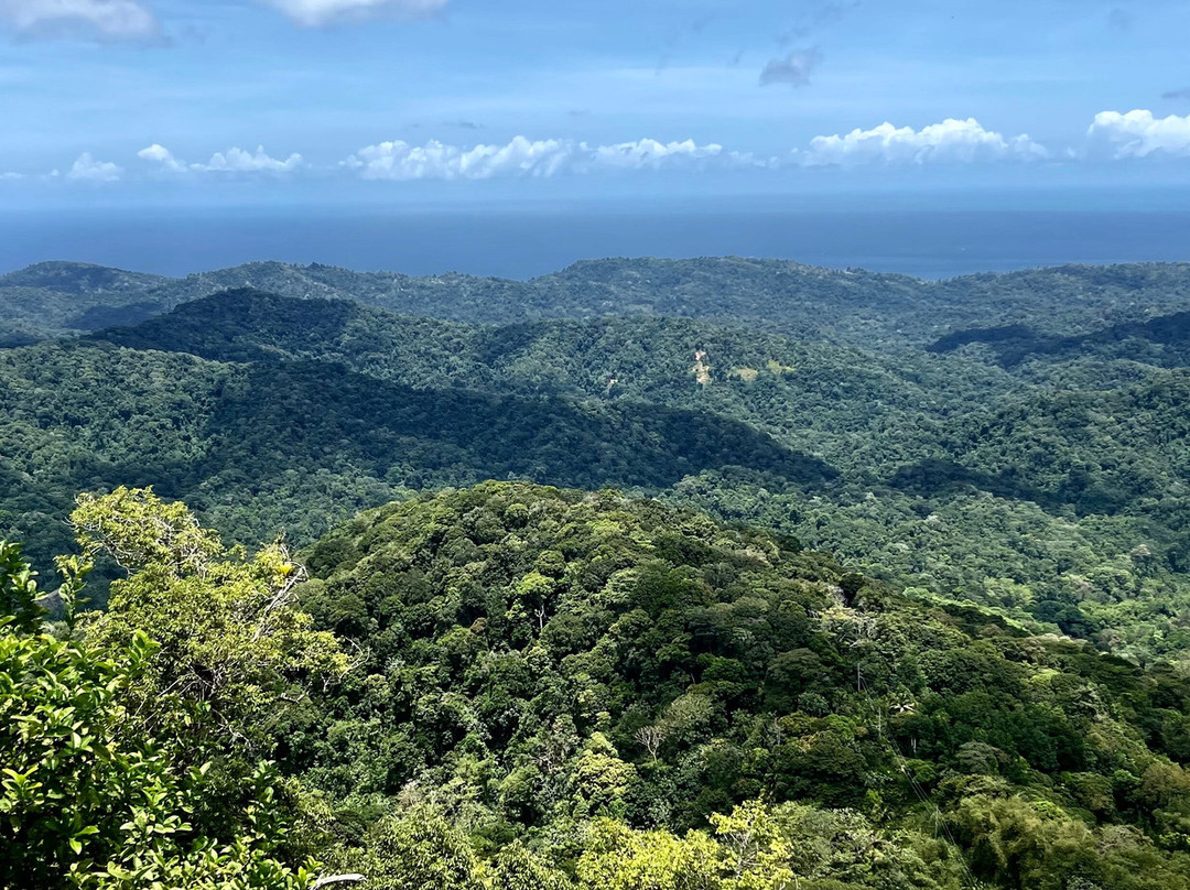 Caribbean Discovery Tours-西班牙港必去景点