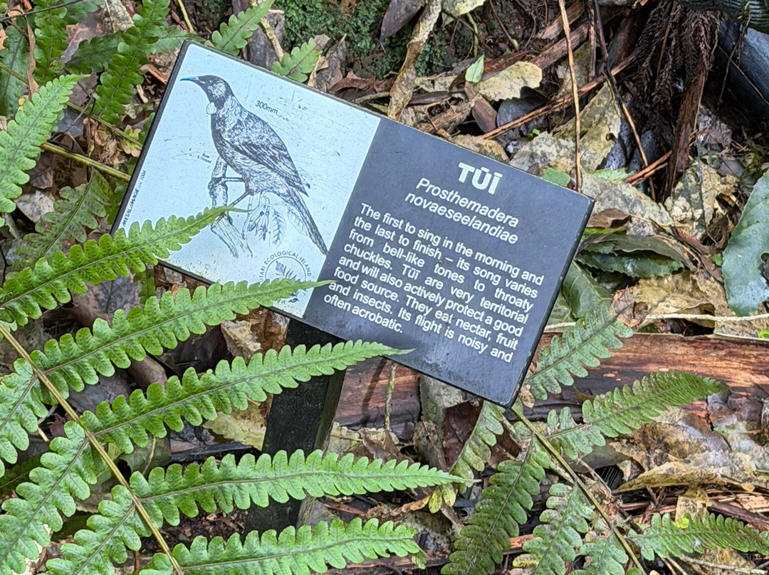 Sanctuary Mountain Maungatautari-Pukeatua必去景点
