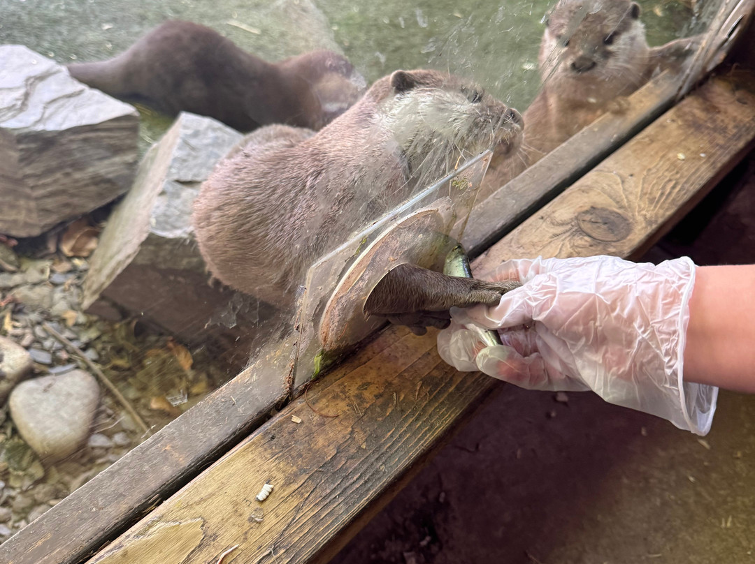 Exotic Zoo Wildlife Park + Natural History & Dino Museum-特尔福德必去景点