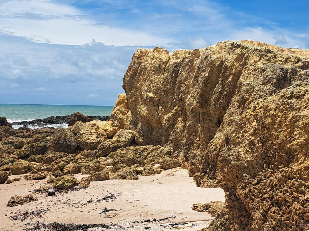Tabatinga Beach-Conde必去景点