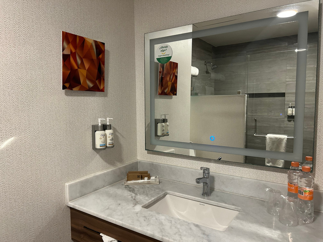 蒙特雷阿波达卡机场区假日套房酒店主图