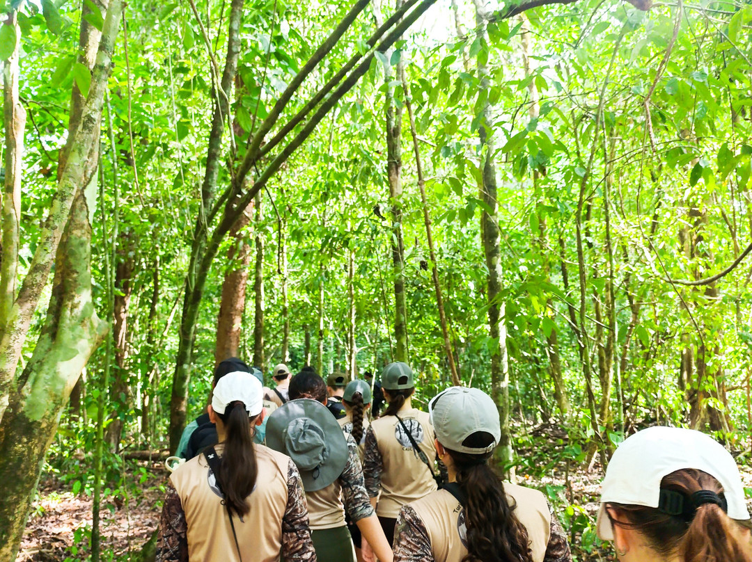 Costa Rica Wild Expeditions-希门尼斯港必去景点