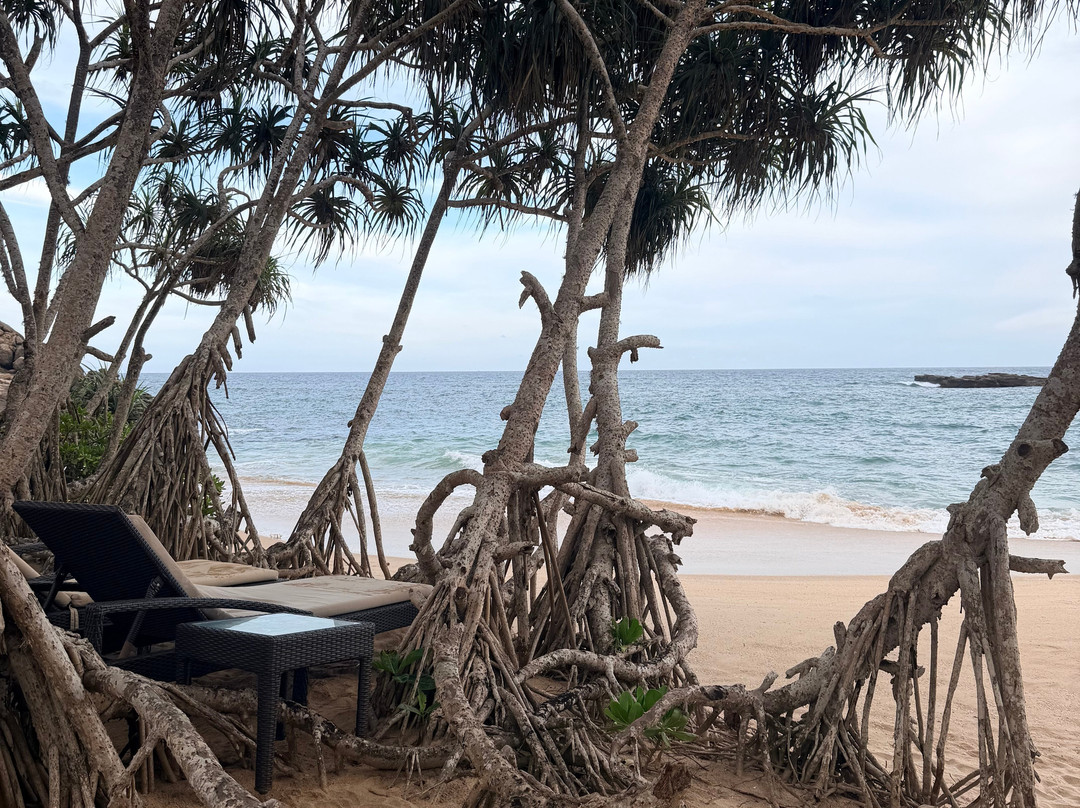 坦加拉世外桃源安纳塔拉度假酒店主图