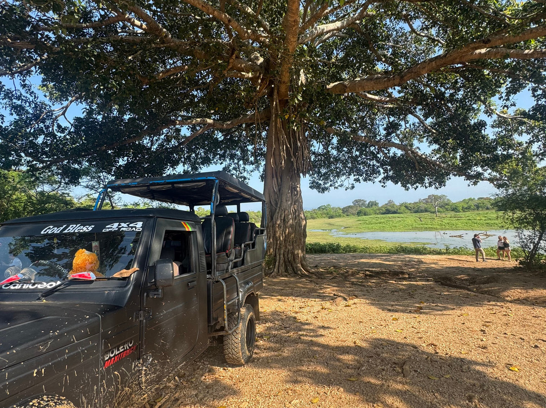 Udawalawe Safari Jeep With Guides-乌达瓦拉维国家公园必去景点