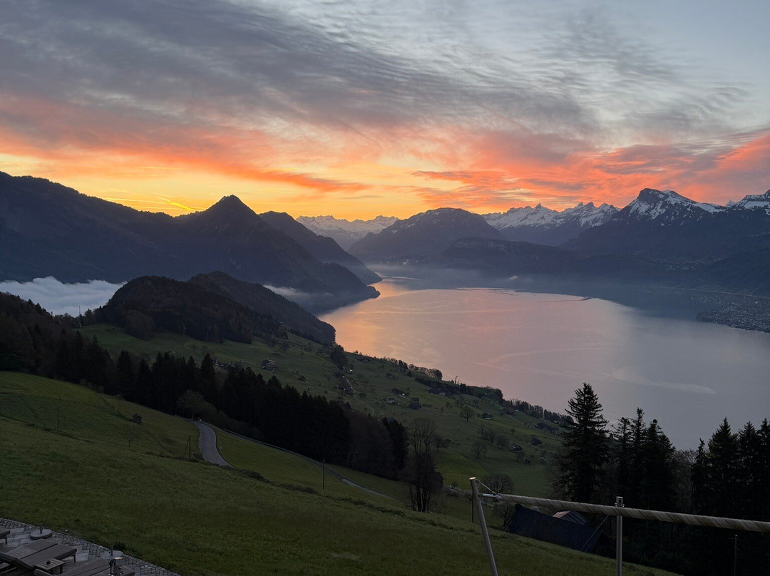 霍尼格别墅主图