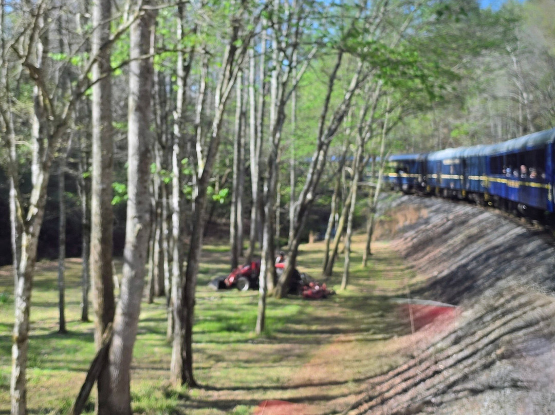 Blue Ridge Scenic Railway-蓝岭必去景点