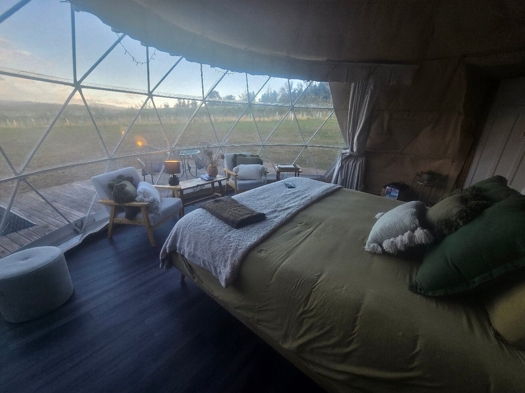 Domescapes in the Vines主图