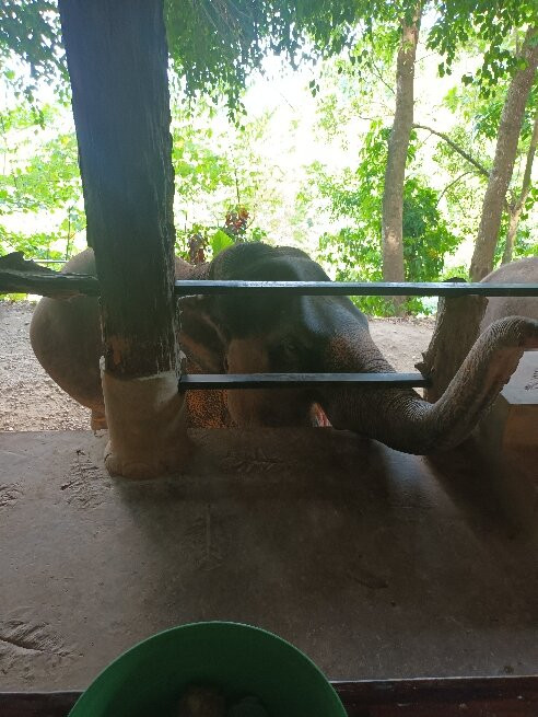 Eco Khao Lak Adventure - Private Day Tours-拉克山必去景点