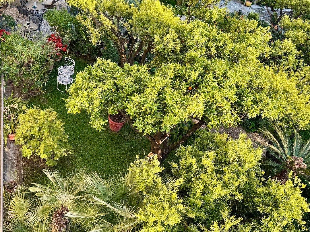 伊莉莎Spa别墅酒店主图