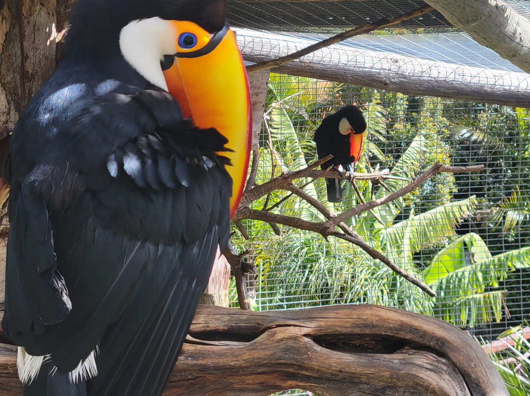 Ilha das Aves-Campanario必去景点