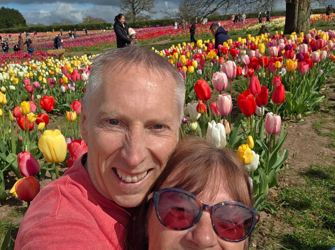 Tulleys Tulip Garden - Warwickshire-沃里克必去景点