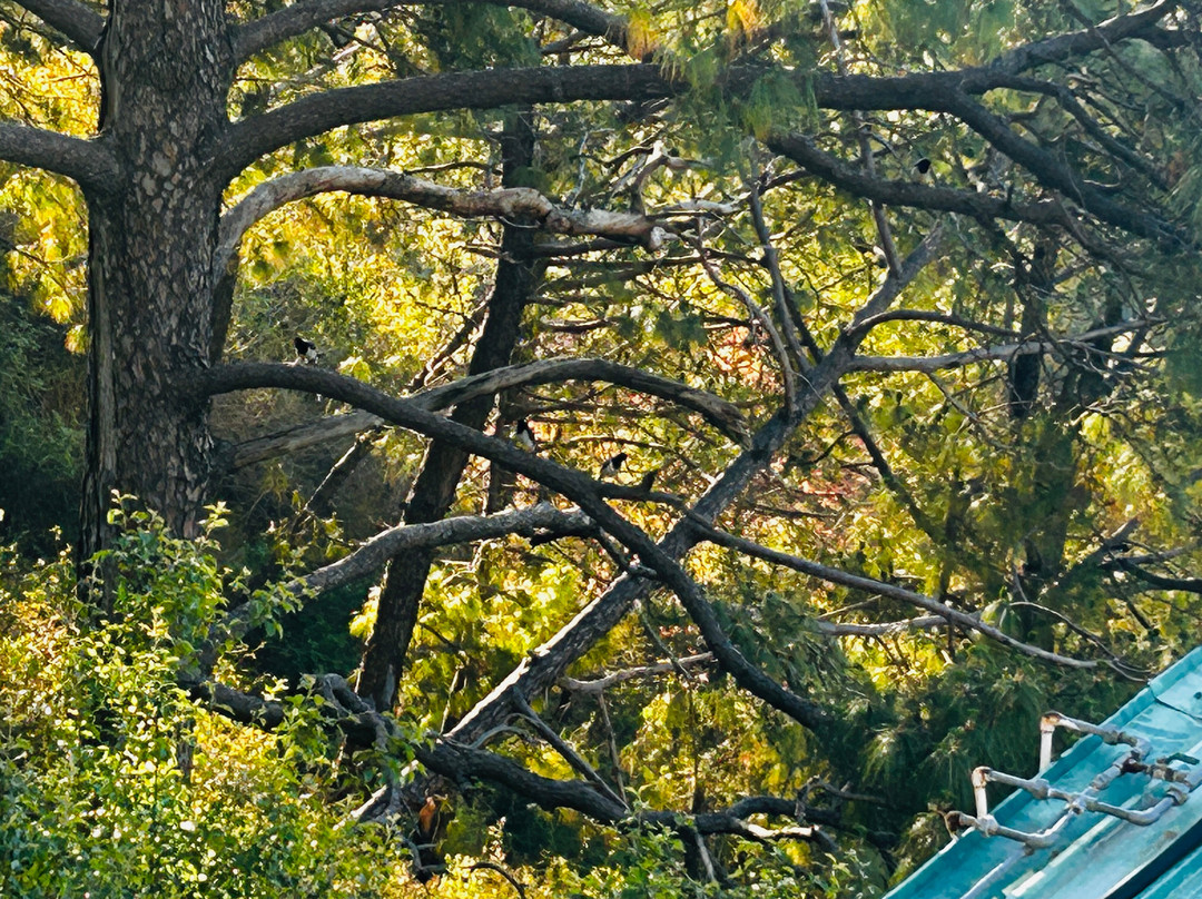 温妮斯假日水疗度假村主图